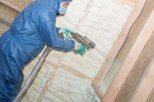 Best Wall Insulation Installation  in Fox Crossing, WI